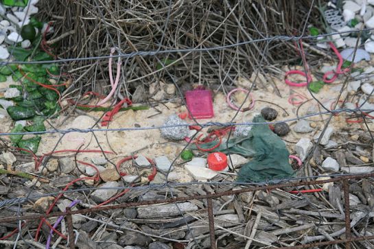 800px-Bowerbird_bower